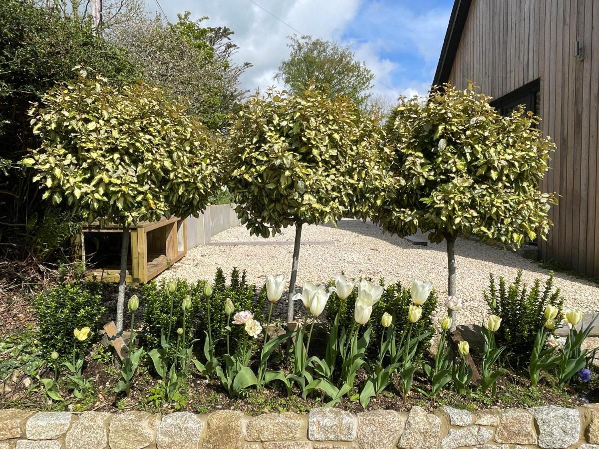 Cedar House Casa de hóspedes Ilsington Exterior foto